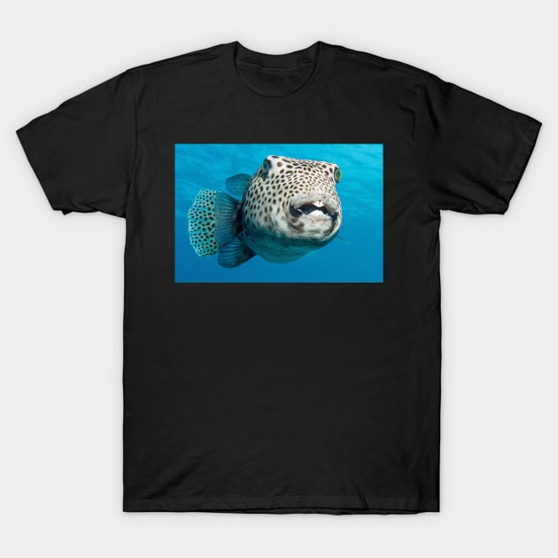 Balloon Fish T-Shirt by kawaii_shop